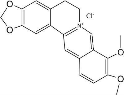 Berberine Attenuates Chronic Atrophic Gastritis Induced by MNNG and Its Potential Mechanism